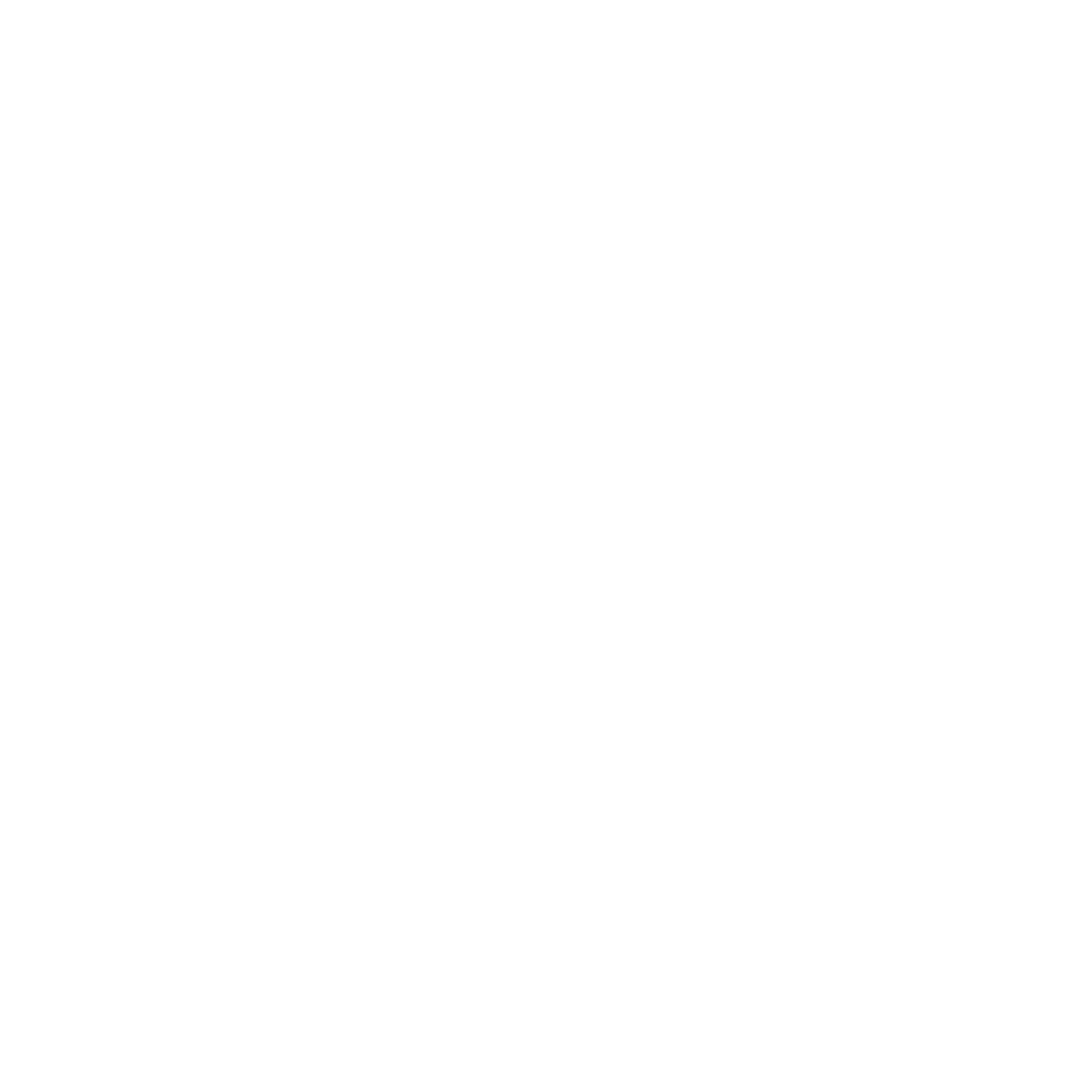Julien Sanine Photography
