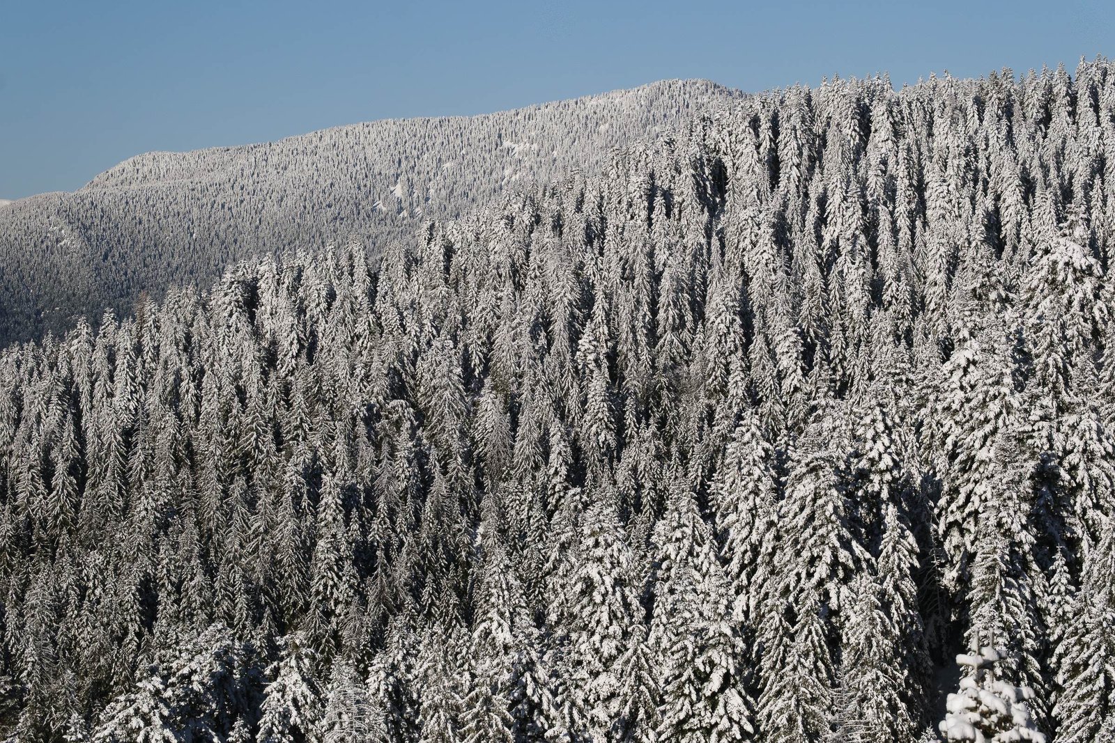 Turini, photographie de Julien Sanine