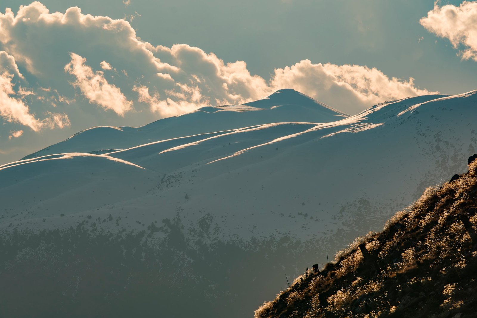 Le Lauvet d'Ilonse, photographie de Julien Sanine